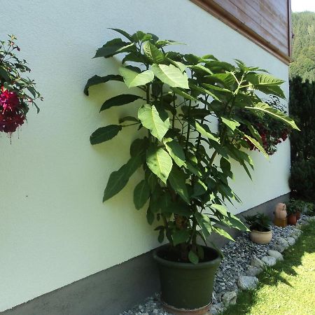 Gondelblick Apartment วาไกรน์ ภายนอก รูปภาพ